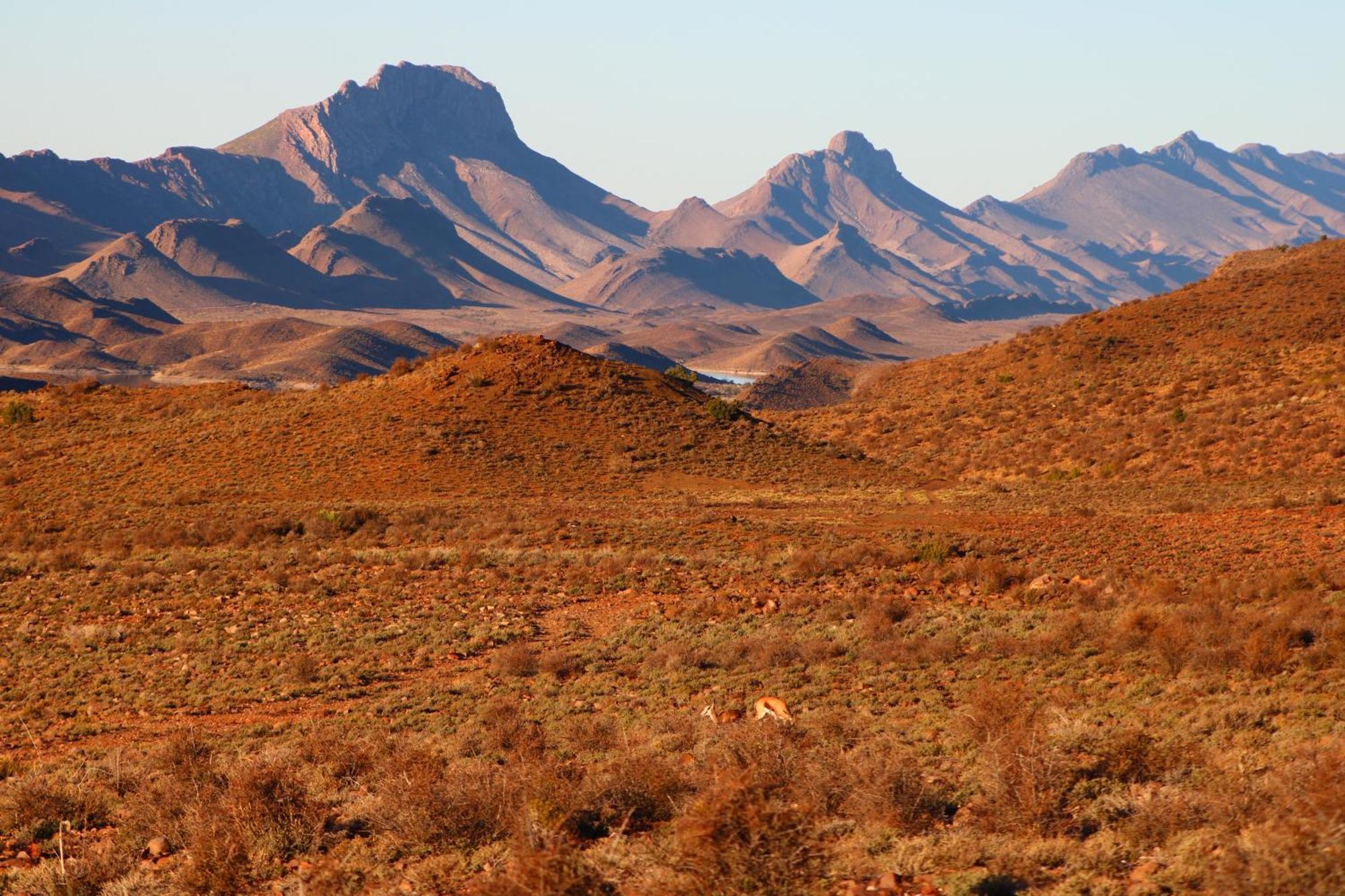 Villa Bosch Luys Kloof Nature Reserve à Ladismith Extérieur photo